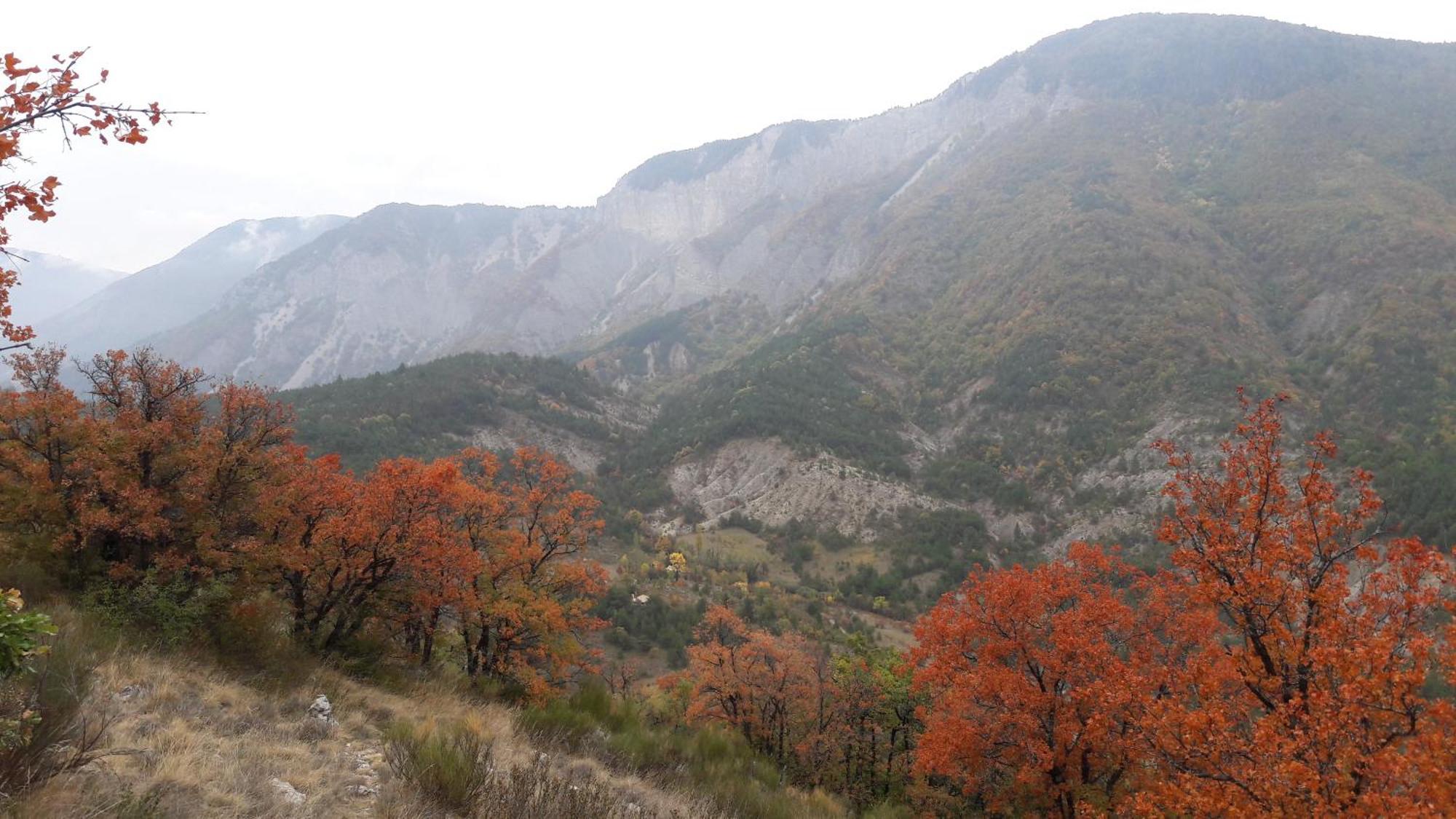 Gite En Haute Provence Montfroc Ngoại thất bức ảnh
